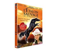 L'Étalon Sauvage