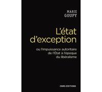 L'état D'exception Ou L'impuissance Autoritaire De L'etat À L'époque Du Libéralisme
