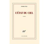 Pierre Péju – L'état du ciel – Roman – Broché – Gallimard – Occasion