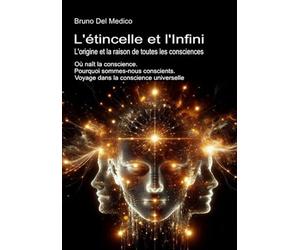 L'étincelle et l'Infini. L'origine et la raison de toutes les consciences: Où naît la conscience. Pourquoi sommes-nous conscients. Voyage dans la conscience universelle.
