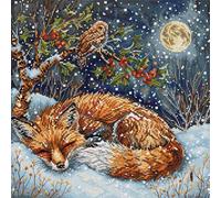 Letistitch kit de point de croix compté "Frosted Dreams", 26x26cm, DIY