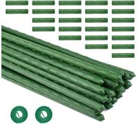 LETNERNY-24 Pcs Tuteur Plante Grimpante 11Mmx40Cm, Tuteur Plante Intérieur En Acier Plastifié, Piquets De Support Pour Plantes Réglables, Avec 24 Rallonges Et 2 Attaches De Plantes, Pour Orchidée Tom