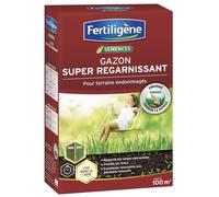 LETNERNY-Fertiligene Regar100 - Semences Gazon Super Regarnissant 2 Kg - Premières Pousses En 1 Semaine - Regarnit Les Zones Abîmées Et Comble Les Trous - Excellence Résistance Aux Piétinements - Pou