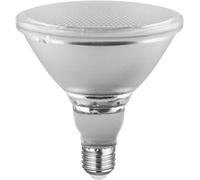 Letnerny-Lampes Led Parathom Par38, Culot E27, Non Réglable, Blanc Chaud, Remplace Une Lampe Conventionnelle De 120 Watts, Angle De Faisceau De 15 Degrés