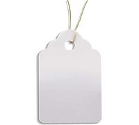 LETNERNY-Lot De 100 Pendentifs De Plantes Avec Ficelle Pour Inscriptions Des Plantes, Arbustes Et Résistants Aux Intempéries En Plastique 3,5 X 2,5 Cm