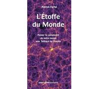 L'étoffe du monde: Penser la complexité de notre temps avec Teilhard de Chardin