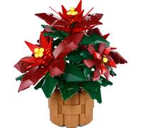 L'étoile de Noël