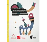 L'étonnante disparité des territoires industriels Comprendre la performance et le déclin. Préface d'Olivier Lluansi - Denis Carré - Presses Des Mines - broché - Etude