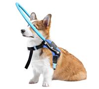 LetPetRun Harnais Halo pour Chien, Bleu, XS, Fonctionnel et Protecteur, Accessoire pour Chien Aveugle