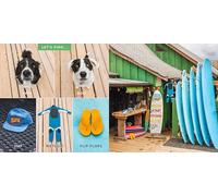 Let's Find Yaya and Boo at the Beach!