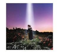 Let's Just Say The World Ended A Week From Now, What Would You Do? - Cd Album