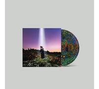 Let's Just Say the World Ended a Week from Now, What Would You Do by HONNE NEUF