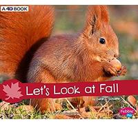Let's Look At Fall