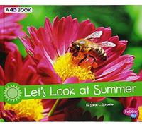 Let's Look At Summer