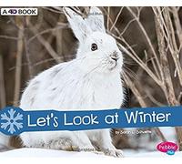 Let's Look At Winter
