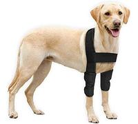 LetsDressUp Coudière pour chien - Coussinets de protection pour coude canin et épaule, hygrome, dysplasie, arthrose, callosités du coude,