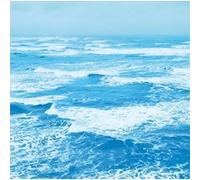 Ryo Fukui – A Letter From Slowboat – Numérique (Import)