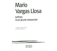 Lettres à un jeune romancier