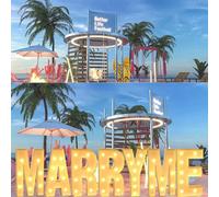 Lettres LED Géantes For Chapiteau, Lettres Décoratives En Mosaïque 2,3 Pieds/3,3 Pieds/4 Pieds For Anniversaire De Mariage, Anniversaire, Saint-Valentin, Fête, Décoration(Letter MARRY ME,3.3ft)