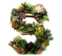 Lettres murales décoratives en bois avec plantes succulentes artificielles bryophytes verticales pots d'art mural vivant pots de fleurs suspendus colorés (taille S, taille unique)