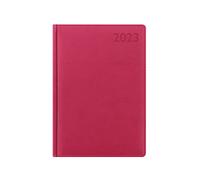 Letts of London 23-080451 Verona Agenda 2023 1 jour par page avec rendez-vous et planificateurs Rose Format A5