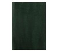 Letts of London 23-081745 Lecassa Agenda semainier 2023 Vert Format A4