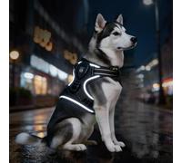 Leuchtende Hundegeschirre mit 3 Leuchtmodi, LED-Hundegeschirr für maximale Sicherheit Volle Sichtbarkeit bei Nebel, Regen & in der Dunkelheit, hundegeschirr Leuchtend für Nachtspaziergänge (Black,L)