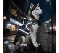 Leuchtende Hundegeschirre mit 3 Leuchtmodi, LED-Hundegeschirr für maximale Sicherheit Volle Sichtbarkeit bei Nebel, Regen & in der Dunkelheit, hundegeschirr Leuchtend für Nachtspaziergänge (Grey,L)