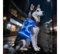 Leuchtende Hundegeschirre mit 3 Leuchtmodi, LED-Hundegeschirr für maximale Sicherheit Volle Sichtbarkeit bei Nebel, Regen & in der Dunkelheit, hundegeschirr Leuchtend für Nachtspaziergänge (Blue,L)
