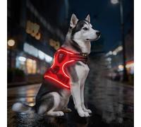 Leuchtende Hundegeschirre mit 3 Leuchtmodi, LED-Hundegeschirr für maximale Sicherheit Volle Sichtbarkeit bei Nebel, Regen & in der Dunkelheit, hundegeschirr Leuchtend für Nachtspaziergänge (Red,M)