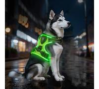 Leuchtende Hundegeschirre mit 3 Leuchtmodi, LED-Hundegeschirr für maximale Sicherheit Volle Sichtbarkeit bei Nebel, Regen & in der Dunkelheit, hundegeschirr Leuchtend für Nachtspaziergänge (Green,L)