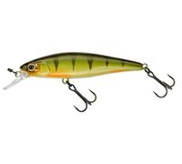 Leure Illex Squad Minnow 65 SP 6.5cm 5.8g Suspending Leures NOUVELLES COULEURS