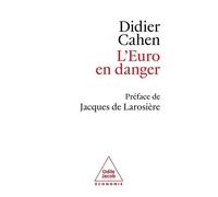 L'euro En Danger