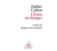 L'Euro en danger - Didier Cahen - Odile Jacob - broché - Etude