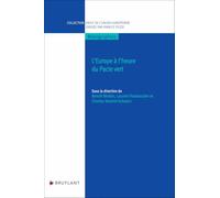L'Europe à l'heure du Pacte vert