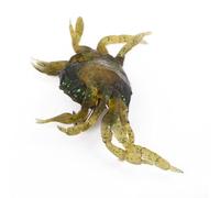 Leurre 3D Manic Crab 10 cm Crochet Tackle conçu pour attirer les grands prédateurs (Vert)