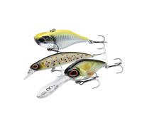 Leurre Berkley Dex Gift Box (x3) Argenté TU
