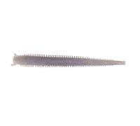 Leurre Berkley Gulp! Fat Sandworm Gris 10 cm