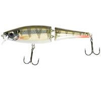 Leurre Coulant Rapala Bx Swimmer - 12cm