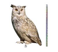 Leurre de hibou à cornes - Durable pour éloigner les oiseaux - Appareil de dissuasion pour oiseaux - Fausse chouette épouvantail - Sculpture d'oiseau réfléchissante pour cour, vergers, pelouse, étang