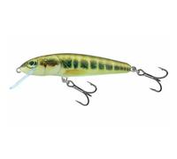 Leurre flottant Salmo Minnow 6g Multicolore 7 cm