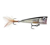 Leurre Rapala X-Light Pop FNP04 Marron 4 cm
