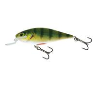 Leurre Salmo IEX12SR Holgraphic Doré 12 cm