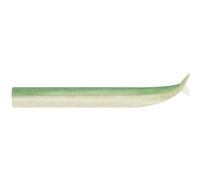 Leurre Souple Fiiish Crazy Sand Eel 100 - Par 3 - Couleur : Vert Nacre - Modèle : Couleur 01