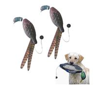 Leurres de canard leurres de colombe leurres de chasse oiseaux factices mannequins d'entraînement de chien for l'entraînement de chien accessoires de chasse à croquer ( Color : Small pheasants , Size