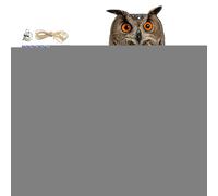 Leurres de Faux hiboux pour effrayer Les Oiseaux - Pendentif à Oiseaux décoratif et imperméable | Simulation de Chouette effraie Les Oiseaux dissuasif pour Les fermes