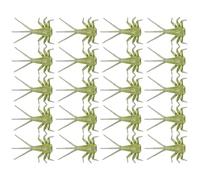 Leurres de pêche à au Bar - Entomo Mimicry, Ensemble réaliste d'éphémères 20x, appâts Truite attachés Main, Composants du Corps nymphe | Simulation Aquatique pour Les pêcheurs passionnés et