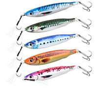 Leurres de Pêche Coulants Imprimés en 3D, WASAGA 5pcs 20g/30g/40g/60g/80g Appâts de Poisson Spinner en Métal Dur pour l'eau Salée et l'eau Douce pour l'Achigan et Le Maquereau et Le leurre Jigging