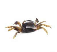 Leurres de pêche en forme de crabe 3D de 10 cm en PVC pour la pêche en eau salée Attire le bar, la Wrasse et la morue avec un mouvement unique (marron)