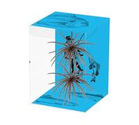 Leurres de pêche pour Bars - Set de 2 oursin Flottant Souple - Leurres De Pêche en Eau Salée Appâts pour Truite | pour La Pêche en Eau Douce Et Salée Lac Rivière Hommes Débutants